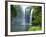 Rainbow Falls, Kerikeri, Northland, New Zealand-David Wall-Framed Photographic Print