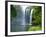 Rainbow Falls, Kerikeri, Northland, New Zealand-David Wall-Framed Photographic Print