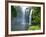 Rainbow Falls, Kerikeri, Northland, New Zealand-David Wall-Framed Photographic Print