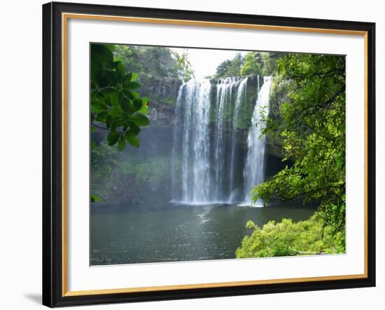 Rainbow Falls, Kerikeri, Northland, New Zealand-David Wall-Framed Photographic Print