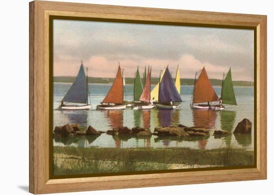 Rainbow Fleet, Nantucket, Massachusetts-null-Framed Stretched Canvas