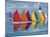 Rainbow Fleet-Paul Brent-Mounted Art Print