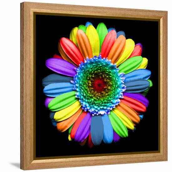 Rainbow Flower-Magda Indigo-Framed Premier Image Canvas