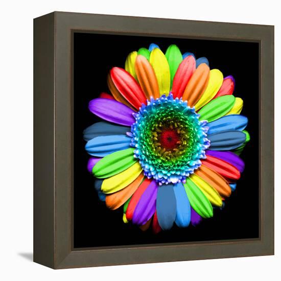 Rainbow Flower-Magda Indigo-Framed Premier Image Canvas