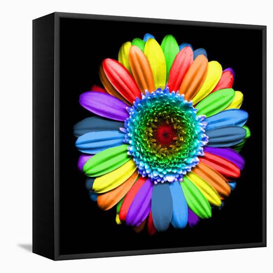 Rainbow Flower-Magda Indigo-Framed Premier Image Canvas