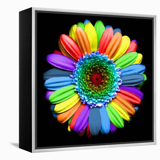 Rainbow Flower-Magda Indigo-Framed Premier Image Canvas