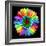 Rainbow Flower-Magda Indigo-Framed Photographic Print