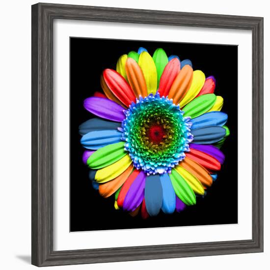 Rainbow Flower-Magda Indigo-Framed Photographic Print