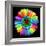 Rainbow Flower-Magda Indigo-Framed Photographic Print