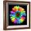 Rainbow Flower-Magda Indigo-Framed Photographic Print