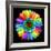 Rainbow Flower-Magda Indigo-Framed Photographic Print