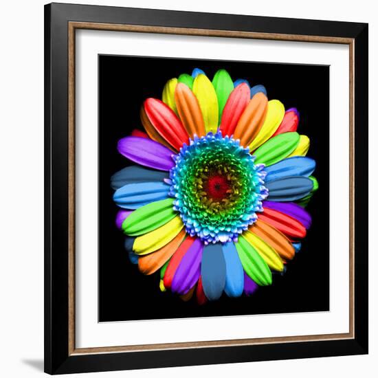 Rainbow Flower-Magda Indigo-Framed Photographic Print