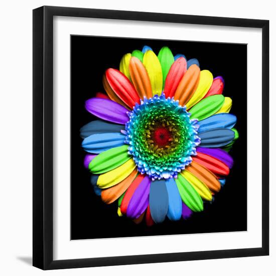 Rainbow Flower-Magda Indigo-Framed Photographic Print