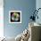 Rainbow Flower-Magda Indigo-Framed Photographic Print displayed on a wall
