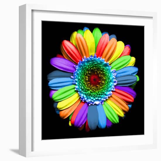 Rainbow Flower-Magda Indigo-Framed Photographic Print