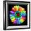 Rainbow Flower-Magda Indigo-Framed Photographic Print