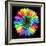 Rainbow Flower-Magda Indigo-Framed Photographic Print