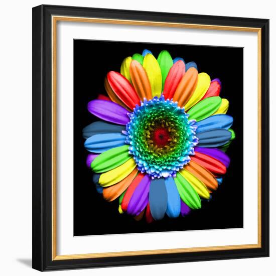 Rainbow Flower-Magda Indigo-Framed Photographic Print