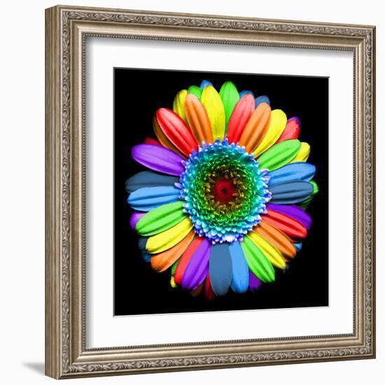 Rainbow Flower-Magda Indigo-Framed Premium Photographic Print