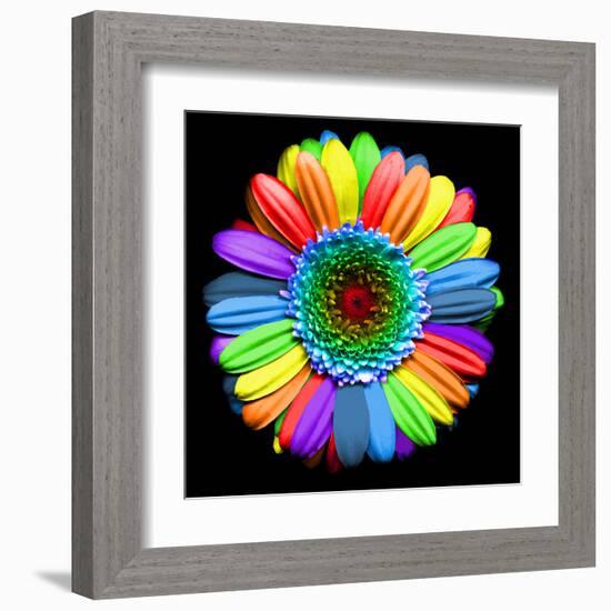 Rainbow Flower-Magda Indigo-Framed Premium Photographic Print