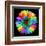 Rainbow Flower-Magda Indigo-Framed Premium Photographic Print