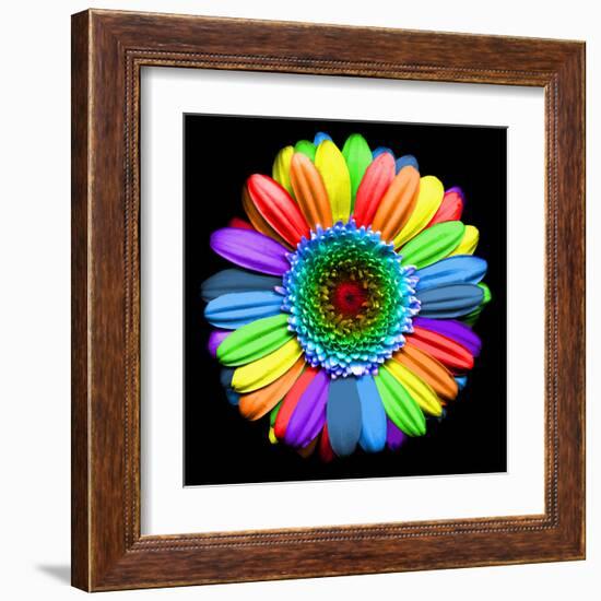 Rainbow Flower-Magda Indigo-Framed Premium Photographic Print