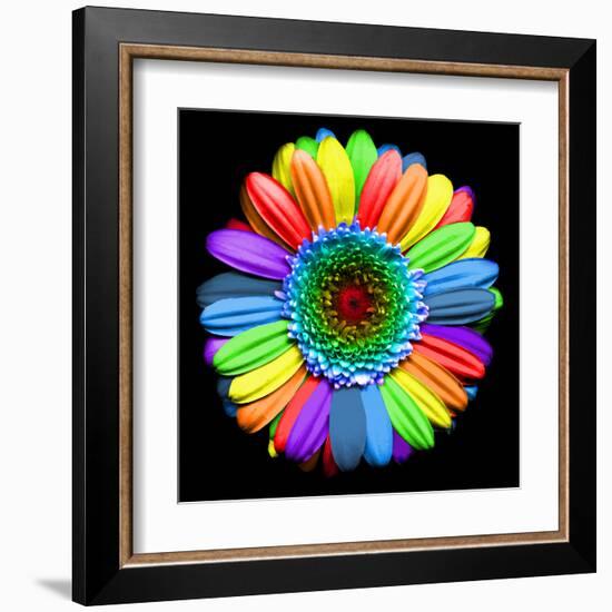 Rainbow Flower-Magda Indigo-Framed Premium Photographic Print