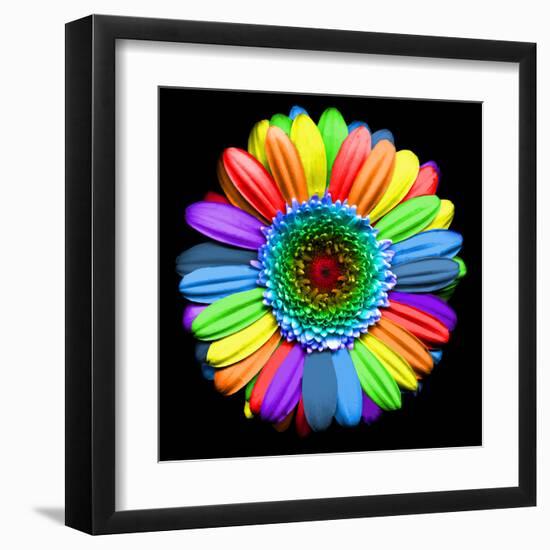 Rainbow Flower-Magda Indigo-Framed Premium Photographic Print