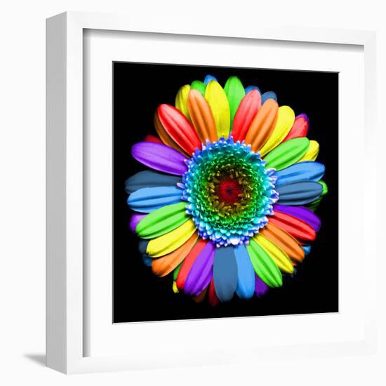 Rainbow Flower-Magda Indigo-Framed Premium Photographic Print