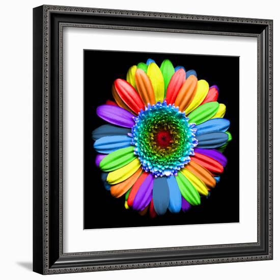 Rainbow Flower-Magda Indigo-Framed Premium Photographic Print