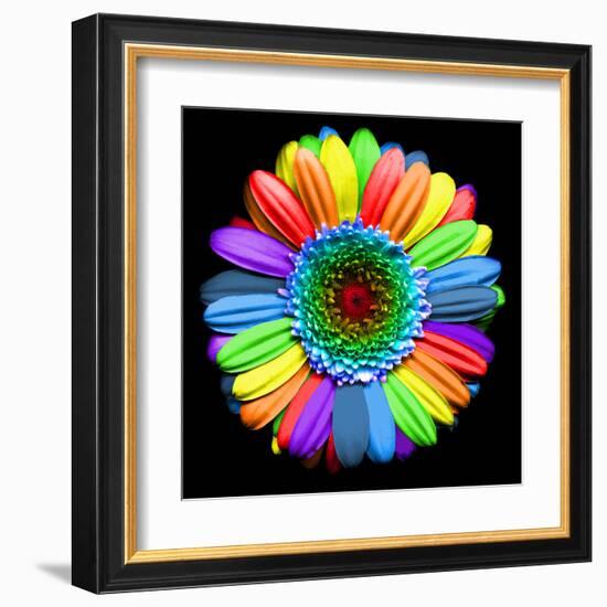 Rainbow Flower-Magda Indigo-Framed Premium Photographic Print