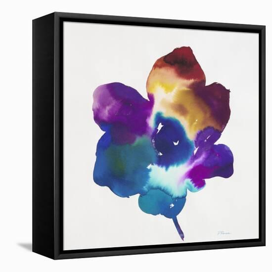 Rainbow Flower-Paulo Romero-Framed Stretched Canvas