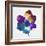 Rainbow Flower-Paulo Romero-Framed Art Print