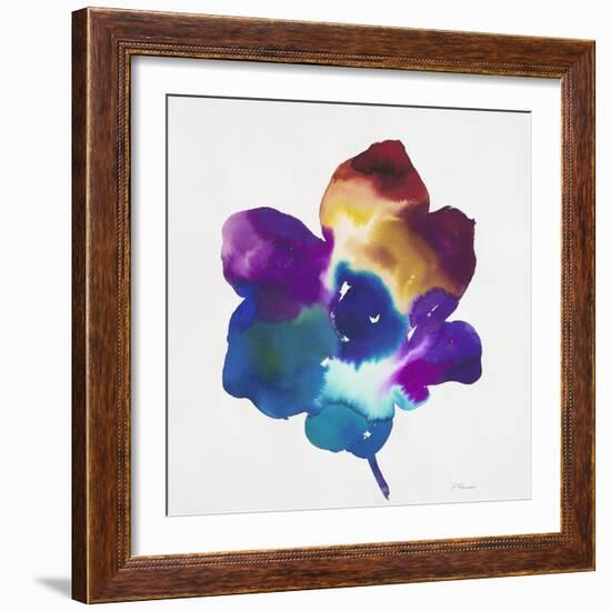 Rainbow Flower-Paulo Romero-Framed Art Print