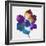 Rainbow Flower-Paulo Romero-Framed Art Print