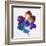 Rainbow Flower-Paulo Romero-Framed Art Print