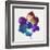 Rainbow Flower-Paulo Romero-Framed Art Print