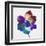 Rainbow Flower-Paulo Romero-Framed Art Print