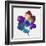 Rainbow Flower-Paulo Romero-Framed Art Print