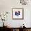 Rainbow Flower-Paulo Romero-Framed Premium Giclee Print displayed on a wall