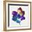 Rainbow Flower-Paulo Romero-Framed Premium Giclee Print