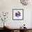 Rainbow Flower-Paulo Romero-Framed Premium Giclee Print displayed on a wall