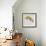 Rainbow Fox-Michael Buxton-Framed Art Print displayed on a wall