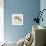 Rainbow Fox-Michael Buxton-Premium Giclee Print displayed on a wall