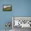 Rainbow Frames a Herd of Cows Grazing in the Green Pastures of Campagneda Alp, Valtellina, Italy-Roberto Moiola-Framed Premier Image Canvas displayed on a wall