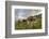 Rainbow Frames a Herd of Cows Grazing in the Green Pastures of Campagneda Alp, Valtellina, Italy-Roberto Moiola-Framed Photographic Print