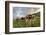 Rainbow Frames a Herd of Cows Grazing in the Green Pastures of Campagneda Alp, Valtellina, Italy-Roberto Moiola-Framed Photographic Print