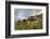 Rainbow Frames a Herd of Cows Grazing in the Green Pastures of Campagneda Alp, Valtellina, Italy-Roberto Moiola-Framed Photographic Print