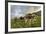 Rainbow Frames a Herd of Cows Grazing in the Green Pastures of Campagneda Alp, Valtellina, Italy-Roberto Moiola-Framed Photographic Print