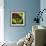 Rainbow Frog-null-Framed Art Print displayed on a wall